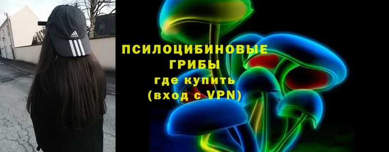 Галлюциногенные грибы прущие грибы  darknet формула  Мензелинск 